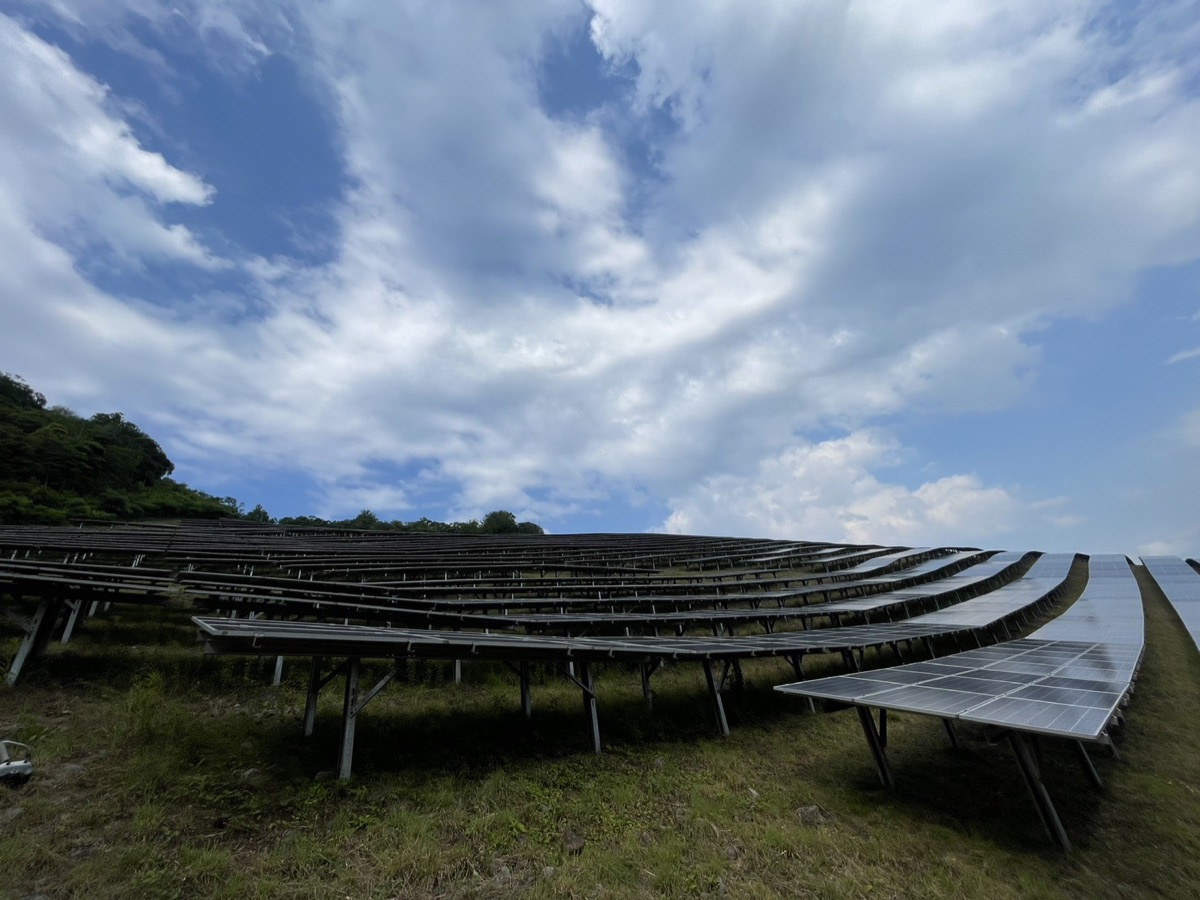太陽光発電所の草刈り